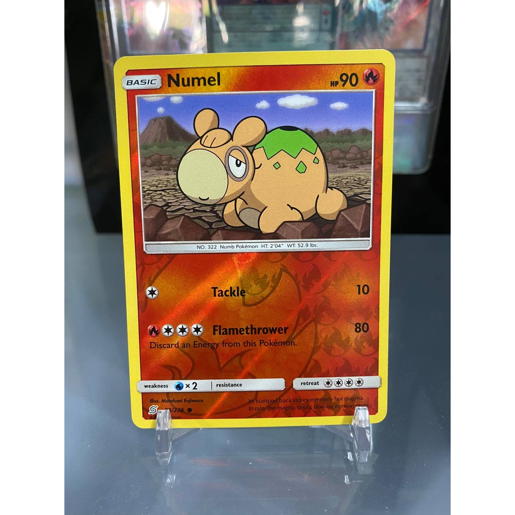 [ Dưa Hấu Yugioh ] Lá bài thẻ bài Pokemon Numel