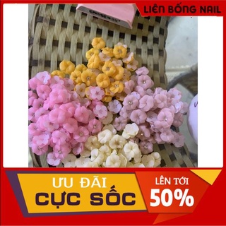 Hoa thanh lý