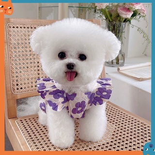 Đầm ren hoa mùa hè cho thú cưng