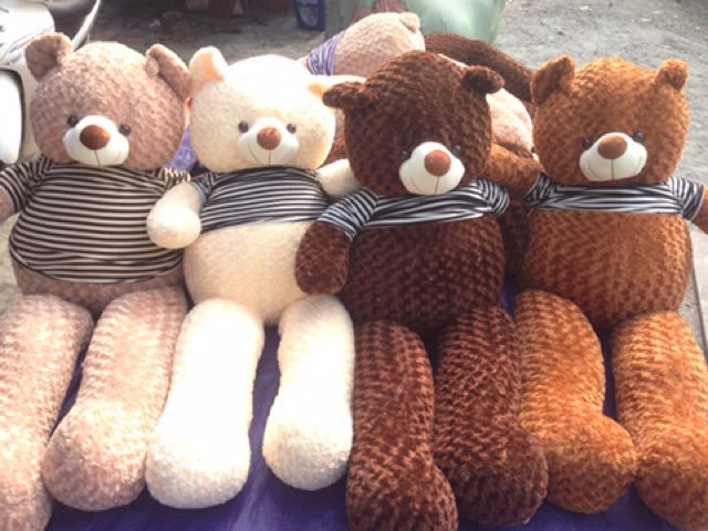 Gấu bông teddy 1m6, thú nhồi bông cỡ lớn khổng lồ