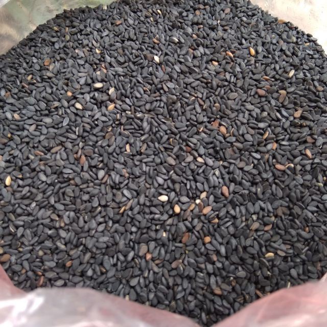 Vừng Tươi  Mè Đen Tươi Hữu Cơ MOONFARM Loại 1kg Chuẩn Chất Lượng Xanh Sạch Xinh Đến Từ Nông Thôn