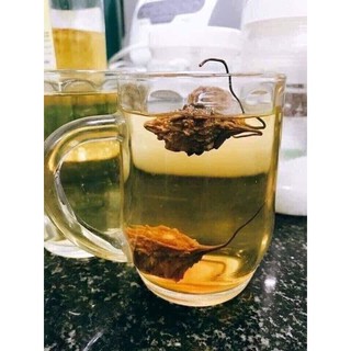 Mướp đắng rừng phơi khô.(trái khổ qua phơi khô)