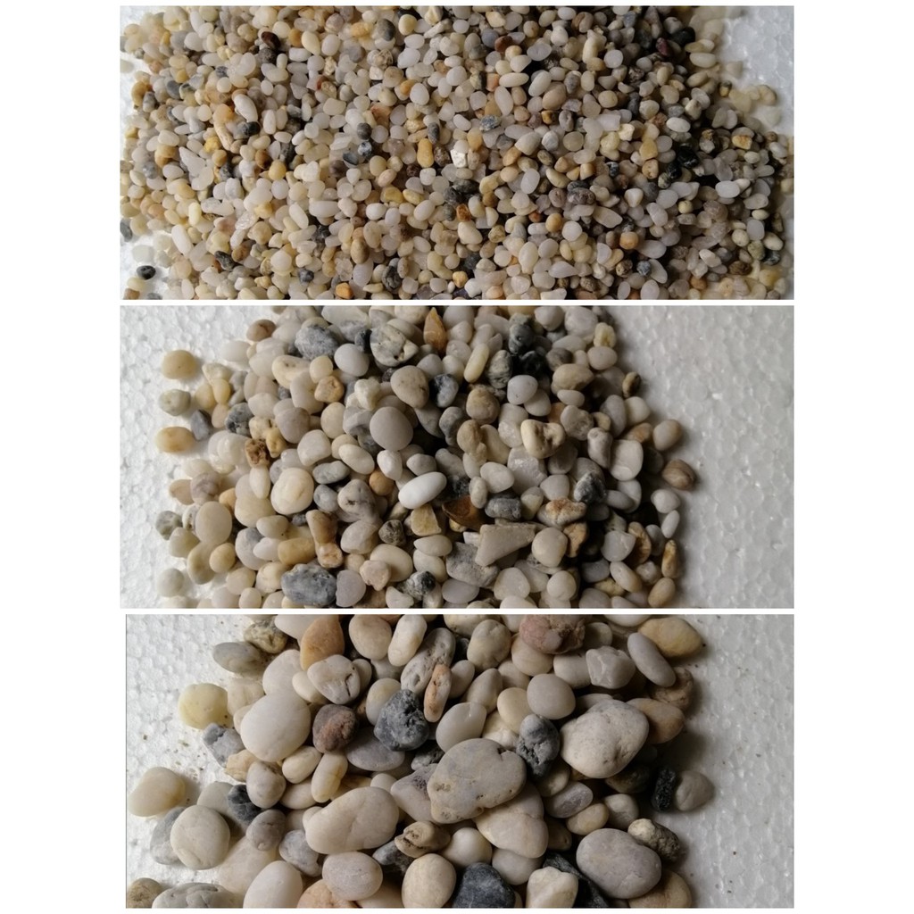 Sỏi biển thiên nhiên 1kg trang trí bể cá,sân vườn ,....
