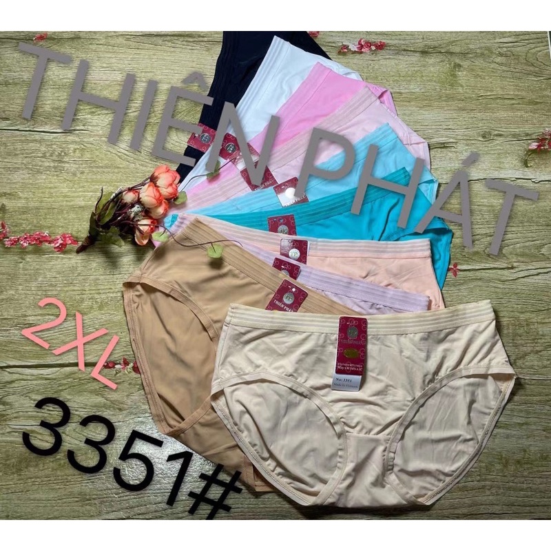 10 Quần lót nữ Thiện Phát (3351)