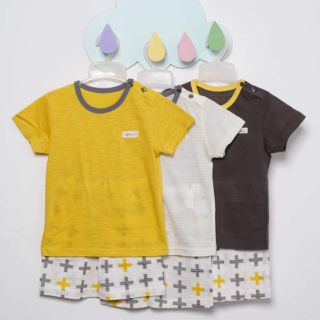 Bộ cotton giấy The Minou xuất Hàn