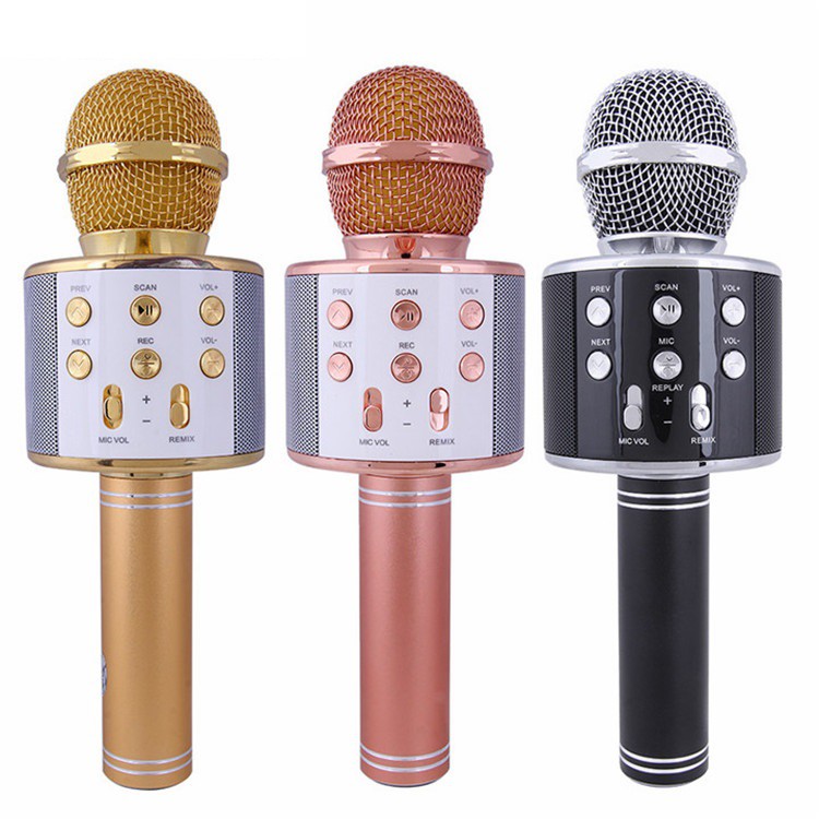 Micro Karaoke Kiêm Loa BLUETOOTH WS858