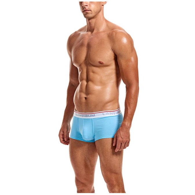 Quần Boxer LANVIBUM Thun Cotton Cap Cấp - Sịp Đùi Nam LANVIBUM BLV02