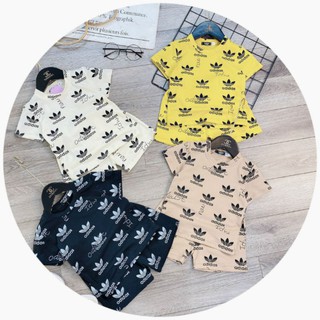 Bộ adidas cộc tay cho bé trai 8-21kg
