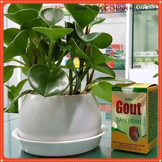 Viên Gout Tâm Bình - Hỗ trợ giảm axit uric, giảm đau do chứng bệnh gout, đau xương khớp (60 viên)