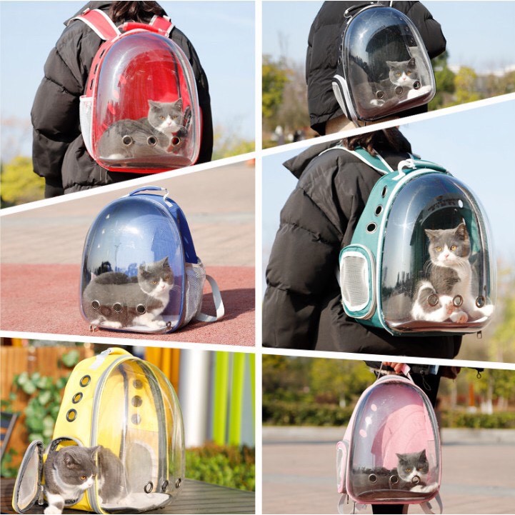 Balo Phi Hành Gia Trong Suốt Vận Chuyển Thú Cưng | Vie PETSHOP