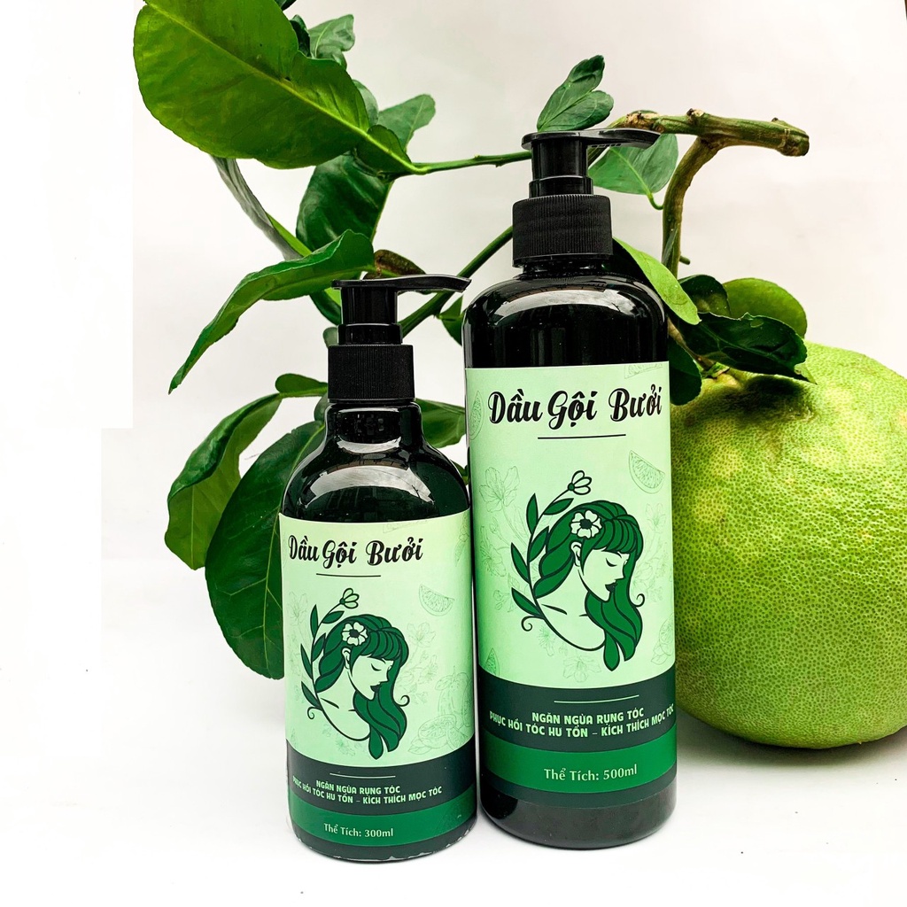 Dầu gội bưởi cô đặc thiên nhiên 500ML sạch gàu, kích mọc tóc nhanh, ngăn rụng tóc