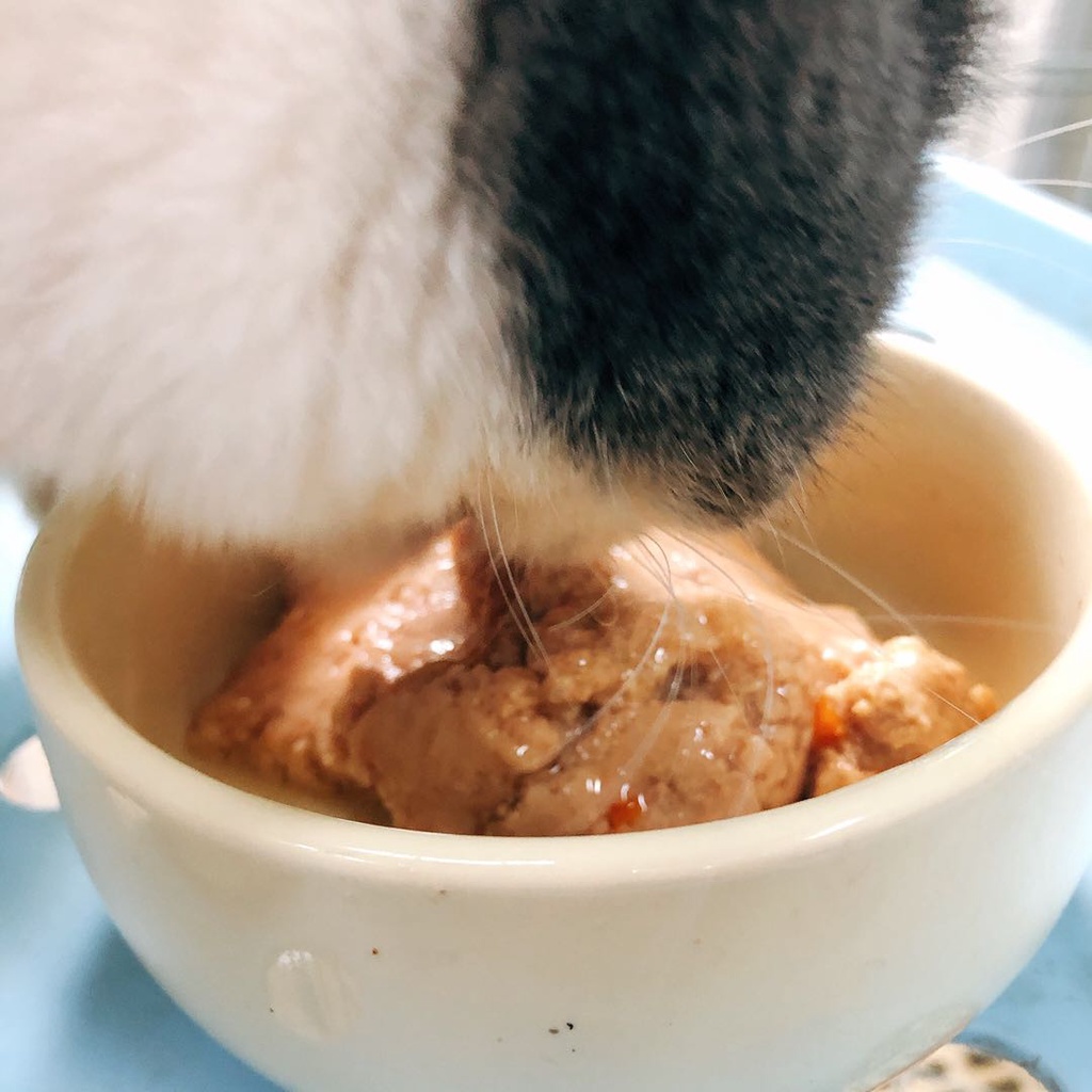 Pate KISS FISH My Foodie Cao Cấp Nội Địa Trung Dành Cho Mèo Đặc Sệt Cực Kì Thơm - Gói Lẻ 85gram