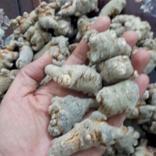 Tam thất bắc loại 9 củ (500gr)