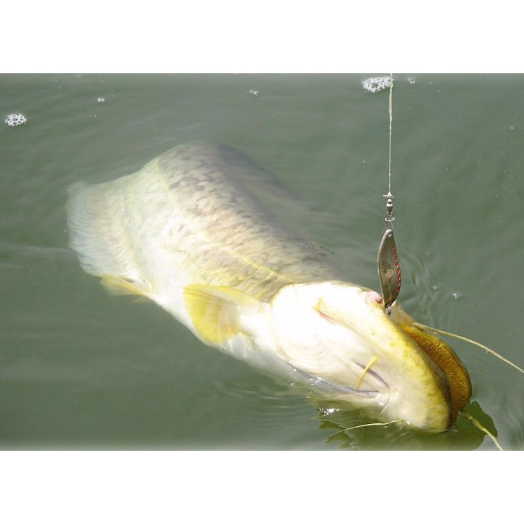 Mồi Câu Cá Giả Bằng Kim Loại Cứng 10 / 15 / 20g