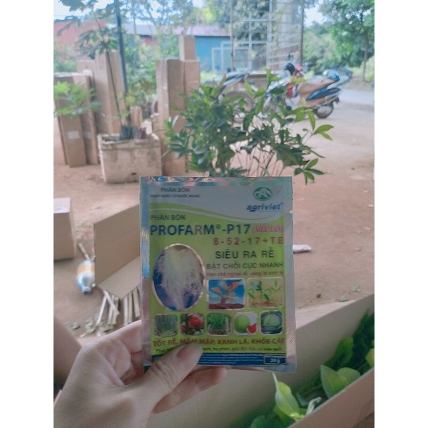 SIÊU KÍCH RỄ CHO CÂY