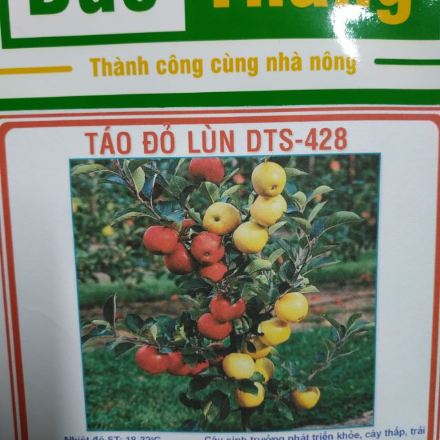 Combo 4 gói hạt giống táo lùn tặng 1 đu đủ vàng - Rau củ quả trồng tại vườn, sân thượng, nông trang, ban công