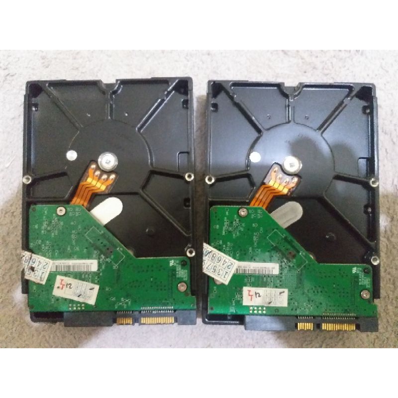 Ổ cứng HDD đen 500Gb WD