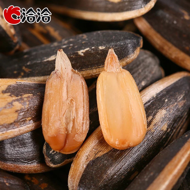 COMBO 10 GÓI HẠT HƯỚNG DƯƠNG TẨM VỊ 108gr
