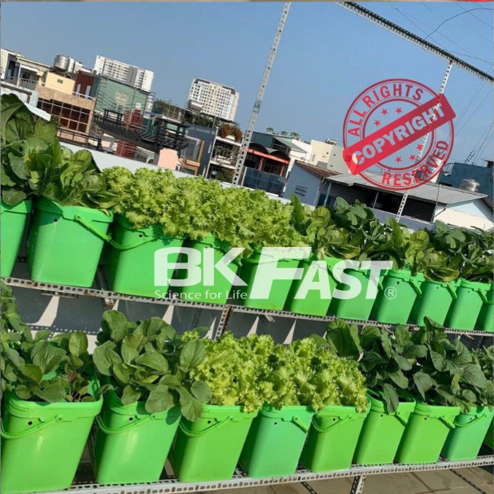 DUNG DỊCH DINH DƯỠNG THỦY CANH TĨNH BKFAST - ĐH Bách Khoa Hà Nội