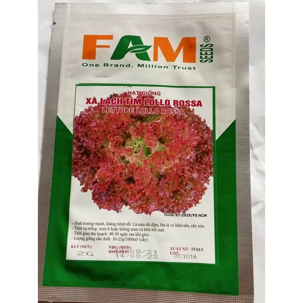 HẠT GIỐNG XÀ LÁCH TÍM GÓI 3 GRAM