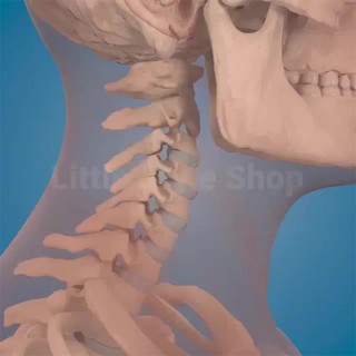 Đai chống gù cho mọi lứa tuổi( chống gù, cong vẹo cột sống hiệu quả)