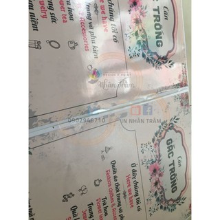 IN tem dán / decal / PP