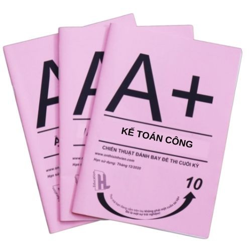 NEU TL hồng A+ KTC