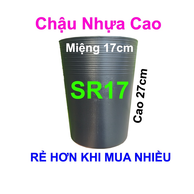 Chậu nhựa trồng cây SR17 / C17 trồng cây sầu riêng, rau, hoa kiểng (Miệng 17 x cao 27cm)