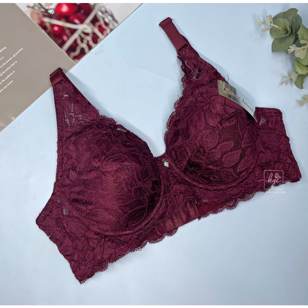 Áo lót ren mềm quả to có gọng , áo ngực nữ bigsize đệm mỏng 2182