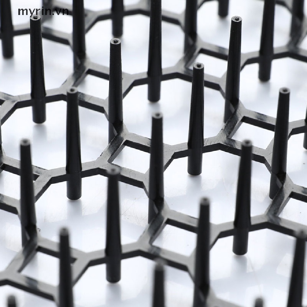 1 Dải Thảm Chống Chó Mèo / Côn Trùng Tiện Dụng