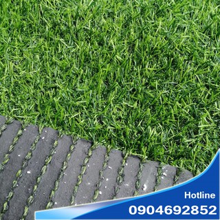 Combo 8 m2 thảm cỏ nhân tạo 2cm