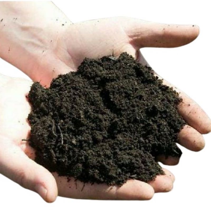 1kg đất sạch BHA trồng cây giàu dinh dưỡng chuyên trồng hoa cây cảnh rau củ