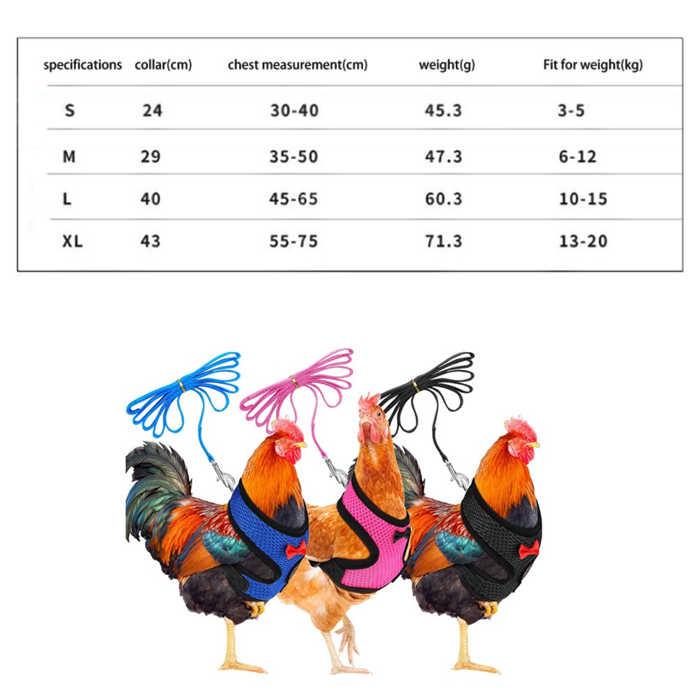 Dây Đai Dắt Gà Đi Dạo Tiện Lợi