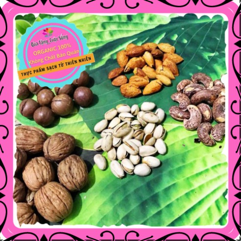 [Mới ra lò] Hạt Mix Nuts 5 loại Hạt Macca – Hạnh nhân – Hạt Dẻ cười – Hạt Điều – Hạt Óc chó GIÀU CHẤT XƠ, TỐT CHO TIM | BigBuy360 - bigbuy360.vn