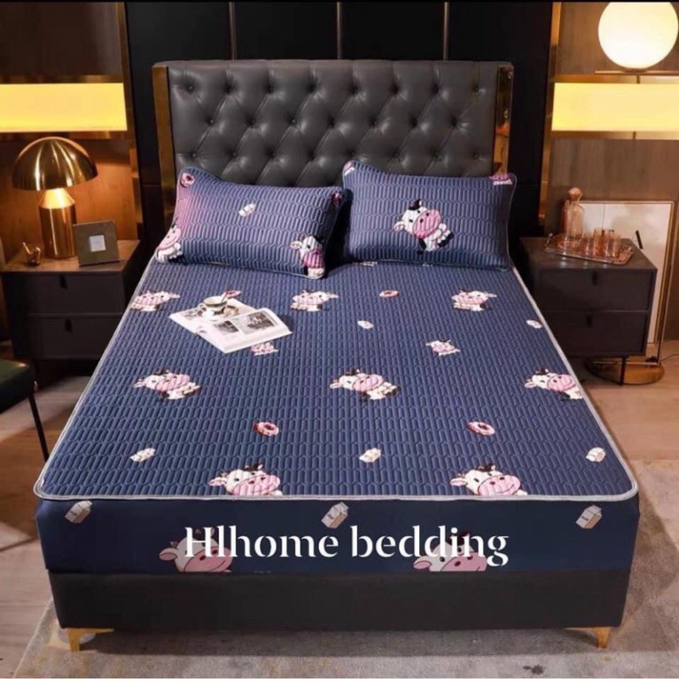 [FreeShip - CHỈ HÔM NAY] CHIẾU ĐIỀU HÒA TENCEL LATEX CAO SU NON in 3D siêu mát tặng kèm 2 vỏ gối | BigBuy360 - bigbuy360.vn