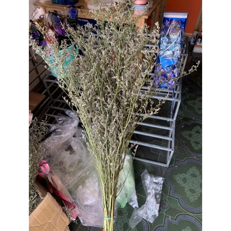 Hoa sao khô ( 1 bó)
