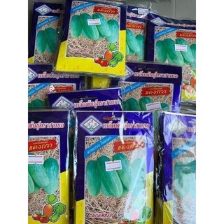 Hạt giống dưa chuột mèo Thái Lan