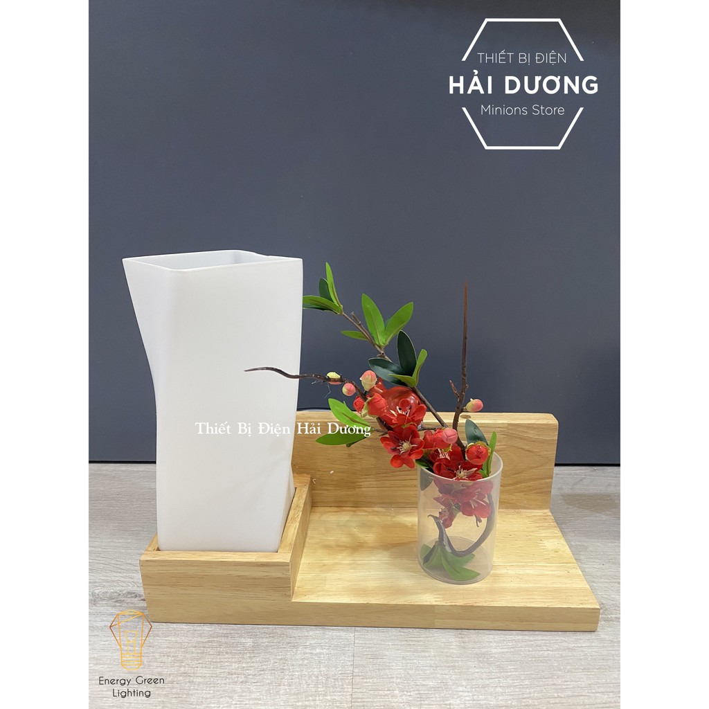 Đèn Tường Kệ Gỗ Chao Thủy Tinh Hiện Đại DT-3024 - Trang Trí Căn Phòng - Energy Green Lighting - Đã Bao Gồm Bóng LED