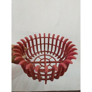 Set 5 Chậu sen đứng giả gỗ phi 25