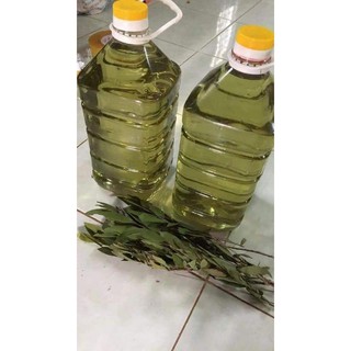 Tinh dầu tràm nguyên chất