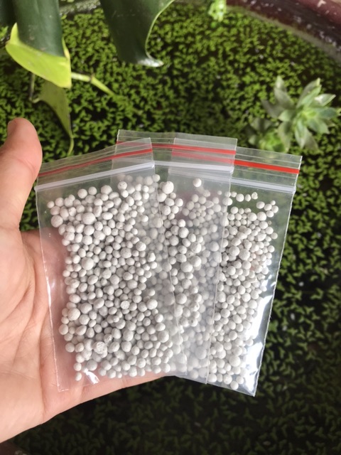 Phân tan chậm cho Sen đá, xương rồng