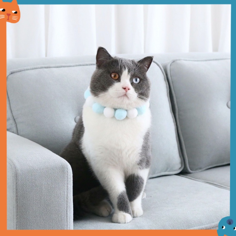 Vòng Cổ ThờI Trang Cho Thú Cưng