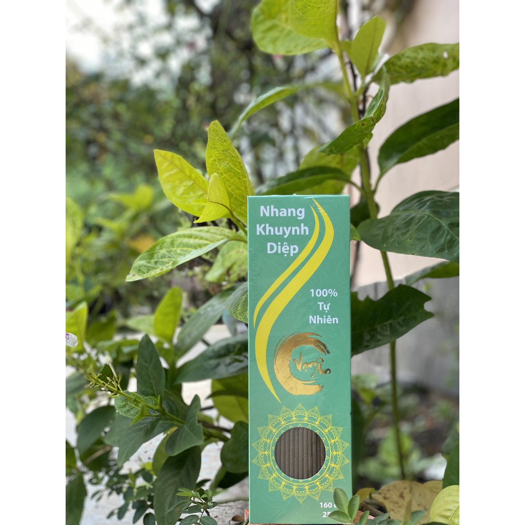 Nhang Khuynh Diệp 100% Organic Tẩy Uế Trừ Tà - Nhang Sạch Tự Nhiên Organic An Toàn Cho Người Sử Dụng -Hộp 100 và 160 Cây