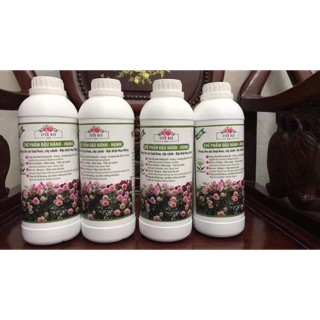 Chế phẩm phân bón đậu nành trứng chuối lên men humic cho hoa đặc biệt hoa hồng