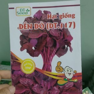 Hạt giống rau dền đỏ - Rau củ quả trồng tại vườn, sân thượng, nông trang, ban công
