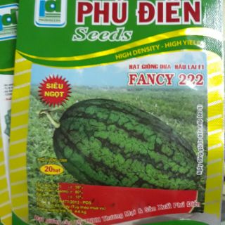 Hạt giống dưa hấu siêu ngọt