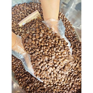 Cà phê bột nguyên chất pha phin, chất lượng cao Mybella G1