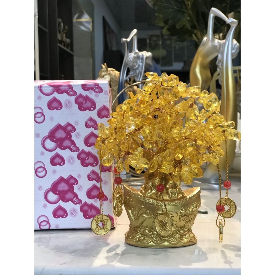 Cây thần tài, cây tài lộc chậu thỏi vàng phát tài phát lộc