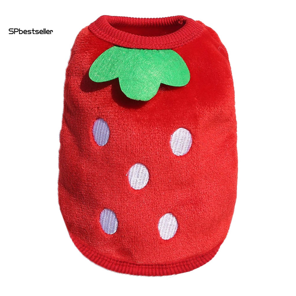 Áo không tay giữ ấm dễ thương cho thú cưng