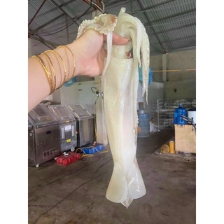 🦑Mực ống. 1kg (giao ngay)